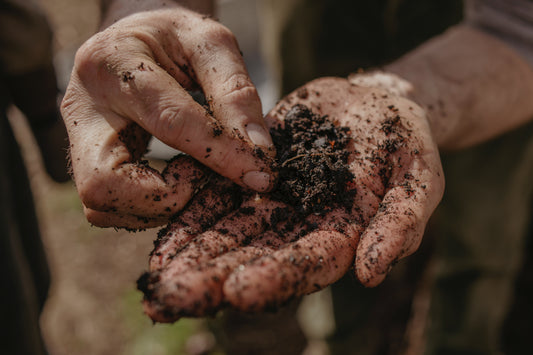 Beyond the Brand: Our Q&A with Laure of My Little Farm
